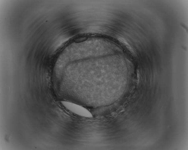 X0000091500872200709131848