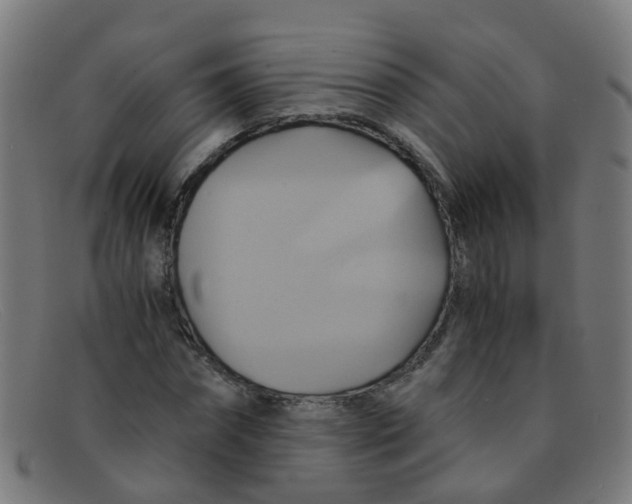 X0000091500874200709131848