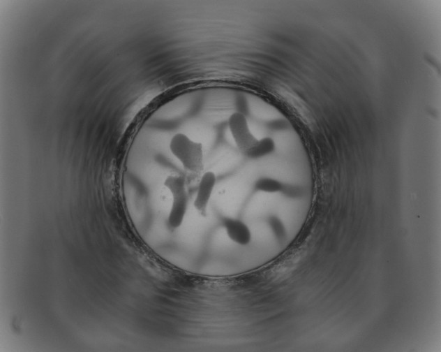 X0000091500875200709131848