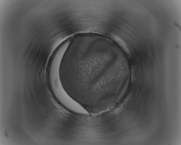 X0000091500876200709131848