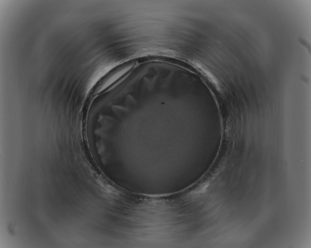 X0000091500877200709131848