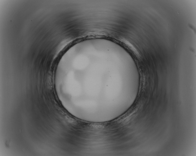 X0000091500878200709131848