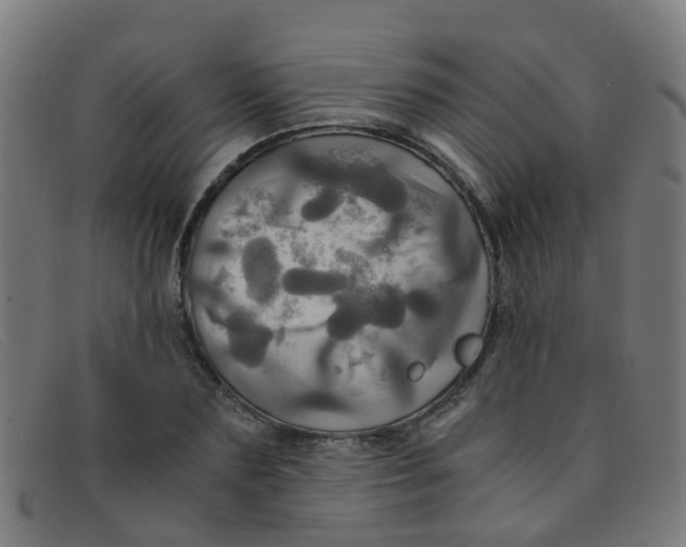 X0000091500883200709131848