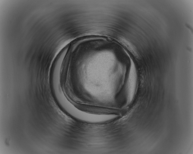 X0000091500884200709131848