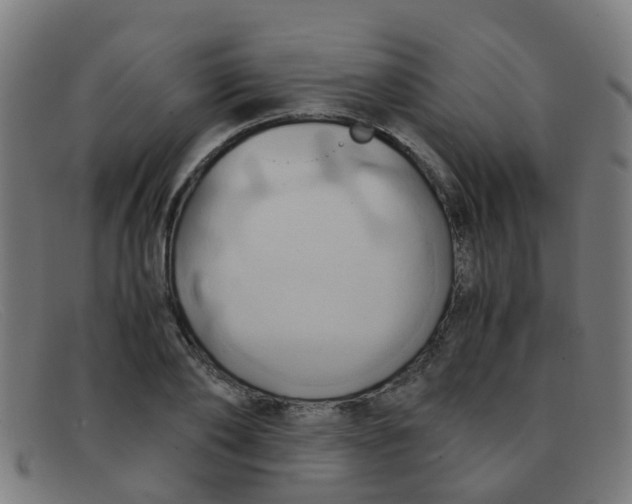 X0000091500886200709131848