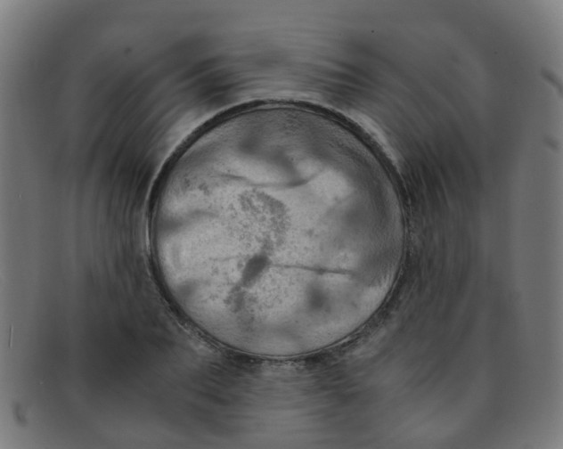 X0000091500887200709131848