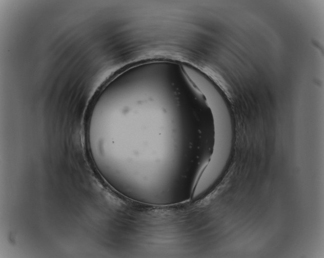 X0000091500888200709131848