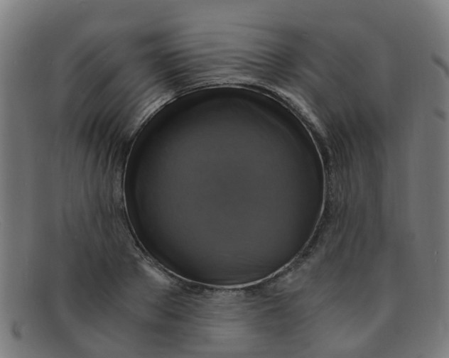 X0000091500889200709131848