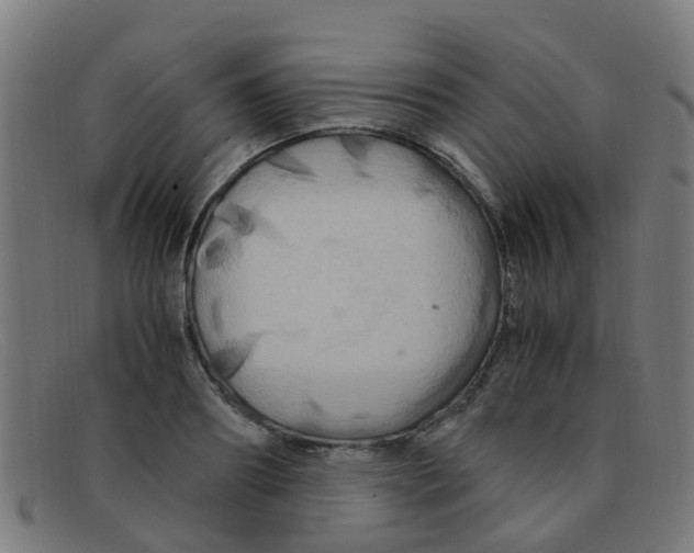 X0000091500890200709131848