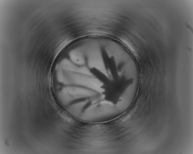 X0000091500891200709131848