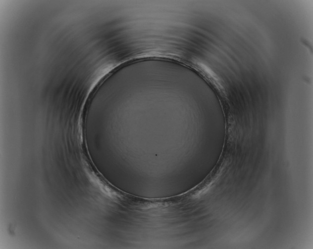 X0000091500892200709131848