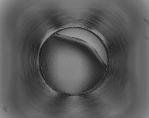 X0000091500894200709131848