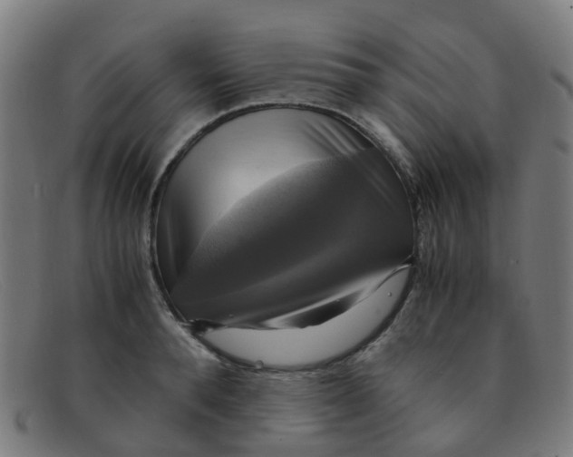 X0000091500896200709131848