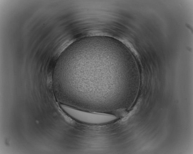 X0000091500897200709131848