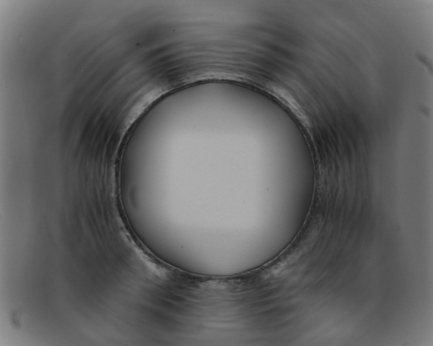 X0000091500898200709131848