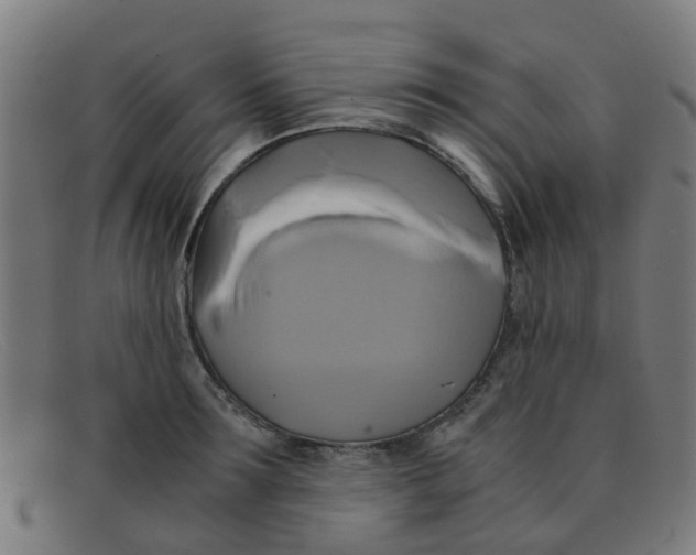 X0000091500899200709131848