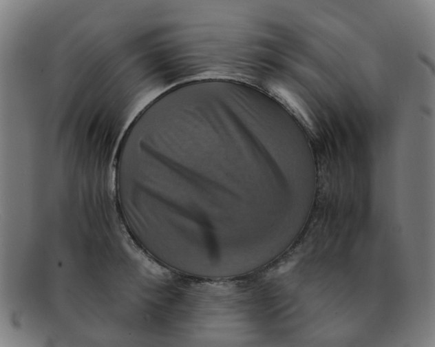 X0000091500900200709131848