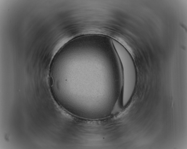 X0000091500901200709131848