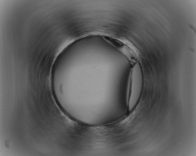 X0000091500902200709131848