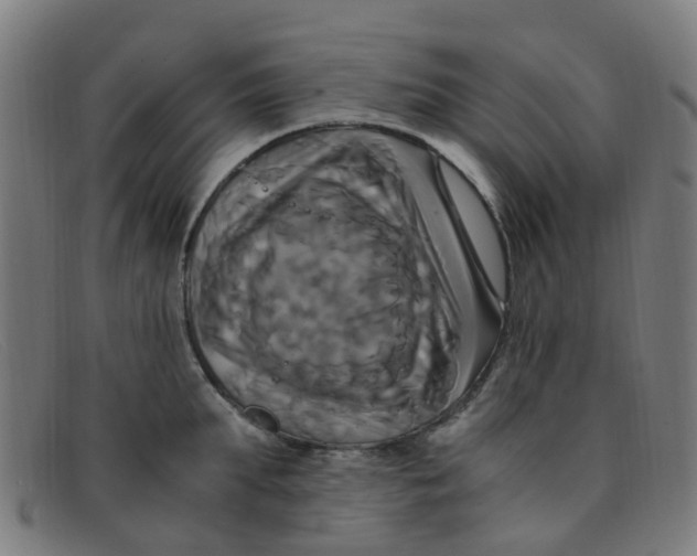 X0000091500903200709131848