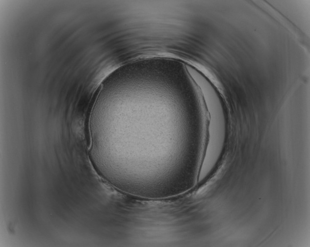 X0000091500905200709131848