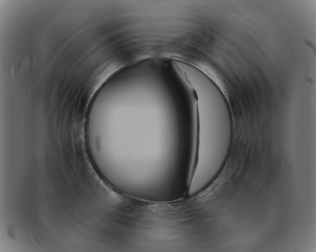 X0000091500906200709131848