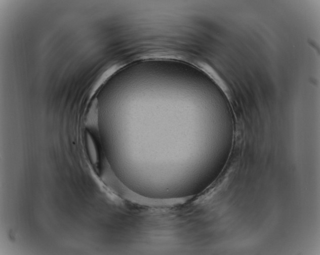 X0000091500909200709131848