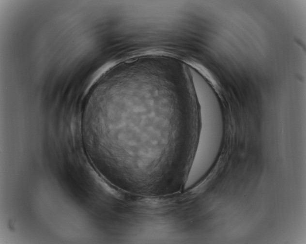 X0000091500910200709131848