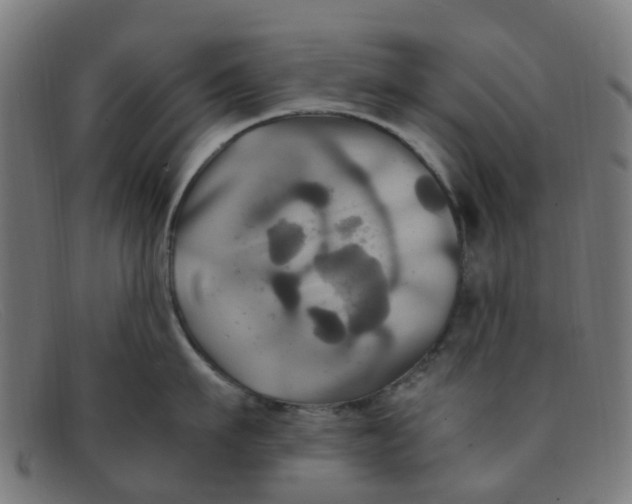 X0000091500911200709131848