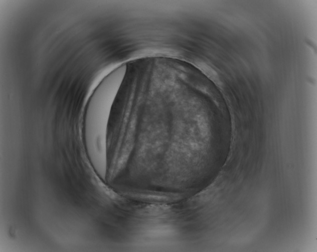 X0000091500912200709131848