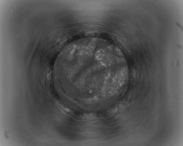 X0000091500914200709131847