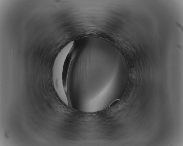 X0000091500916200709131847