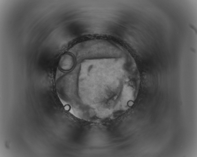 X0000091500918200709131847