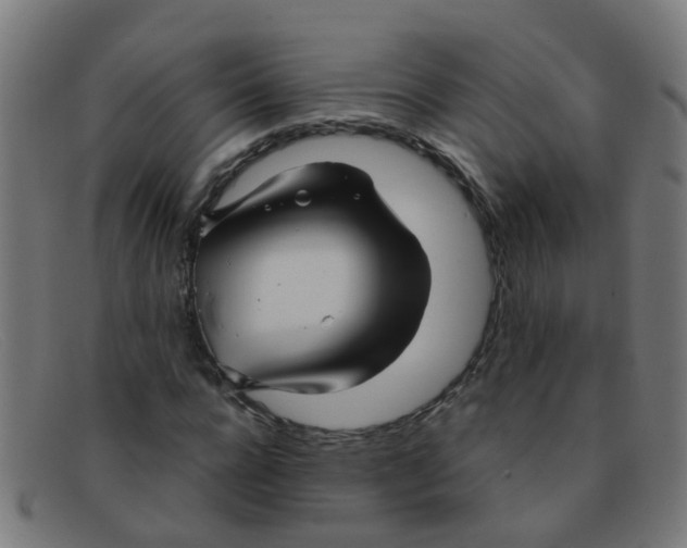 X0000091500920200709131847