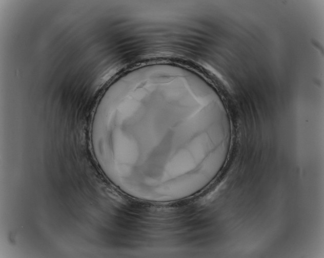 X0000091500921200709131847