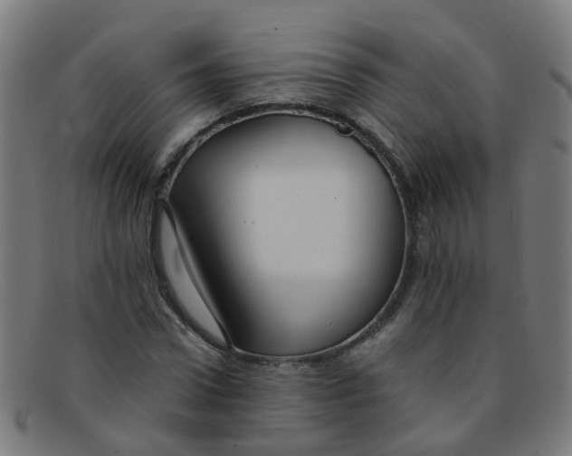 X0000091500922200709131847