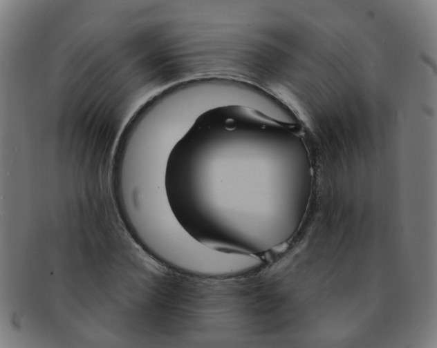 X0000091500924200709131847