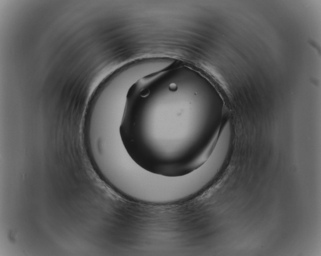 X0000091500928200709131847