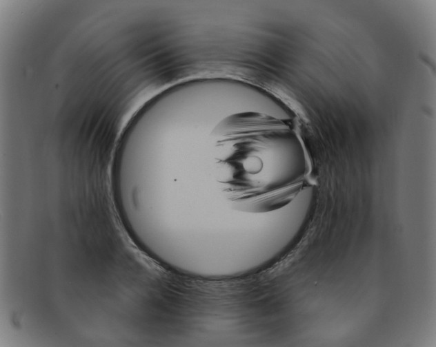 X0000091500936200709131847