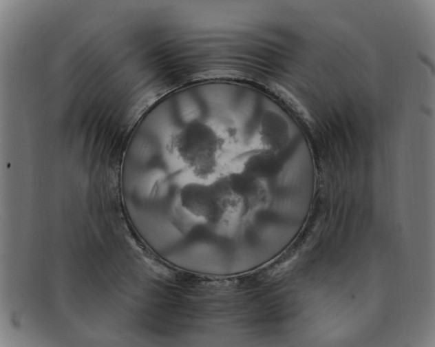 X0000091500937200709131847