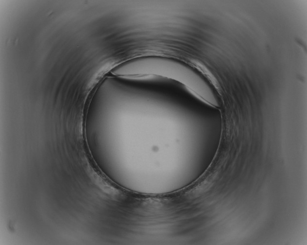 X0000091500938200709131847