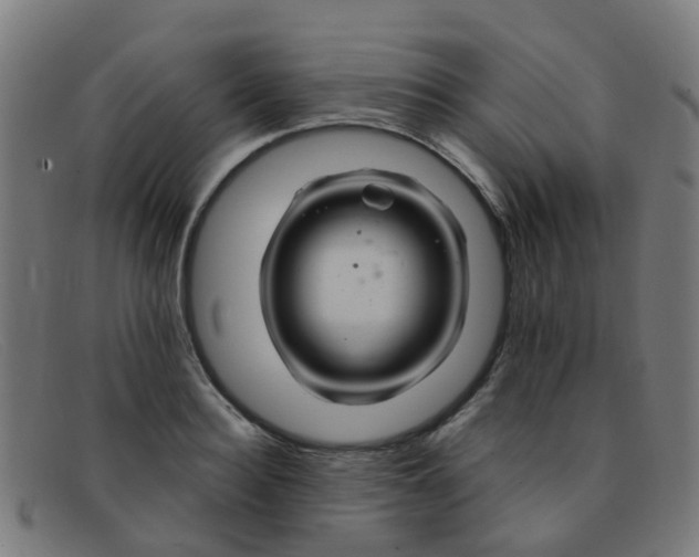 X0000091500940200709131847