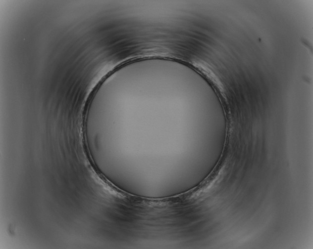 X0000091500941200709131847