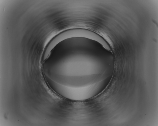 X0000091500944200709131847