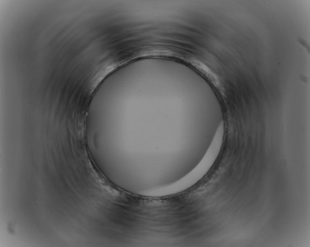 X0000091500945200709131848