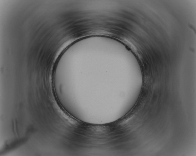 X0000091500947200709131848