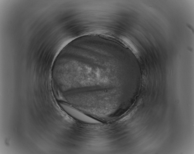 X0000091500948200709131848