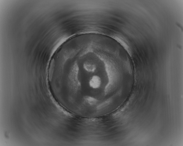 X0000091500949200709131848