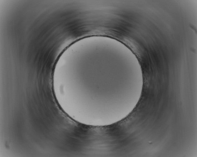 X0000091500950200709131848