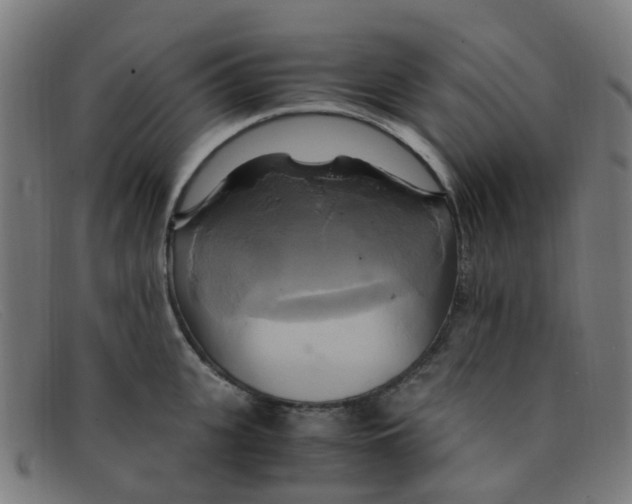 X0000091500951200709131848